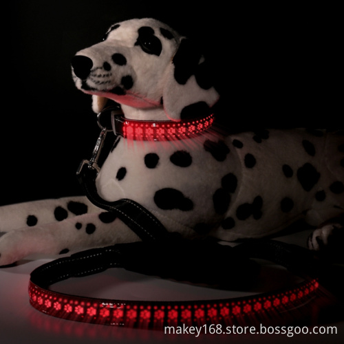 Led Glowing Lighted Dog Collar And Leash Set